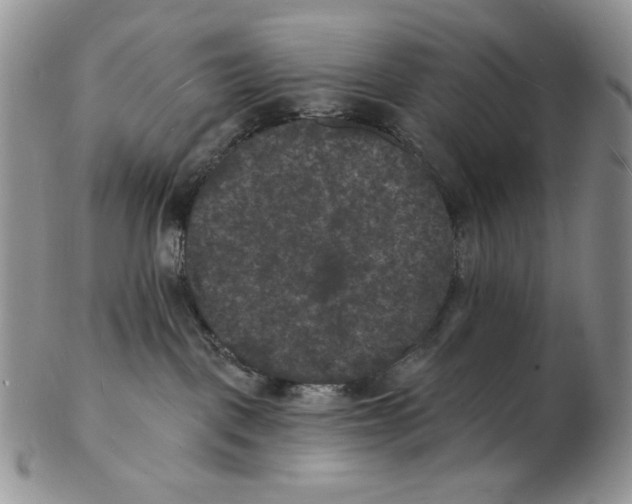 X0000102230093200808221317