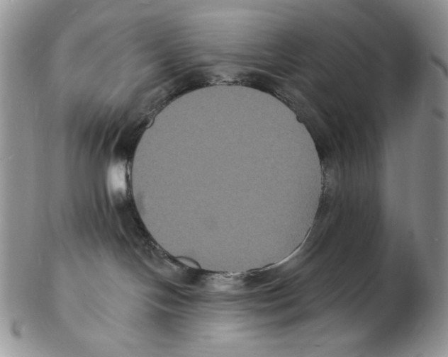 X0000102230094200808221317