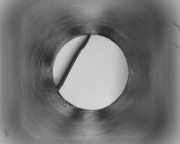 X0000102230096200808221317