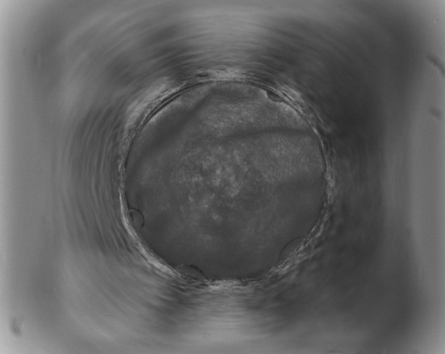 X0000102230097200808221317