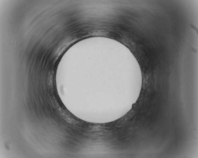 X0000102230098200808221317