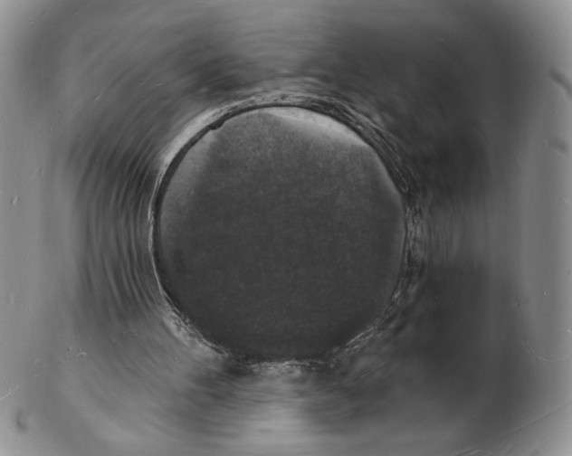 X0000102230100200808221317