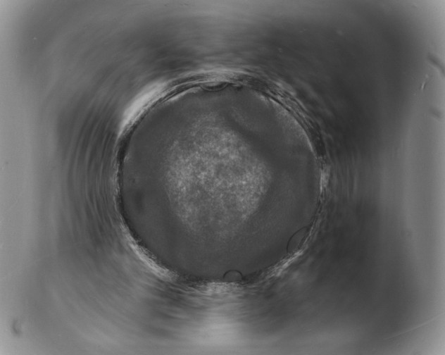 X0000102230101200808221317