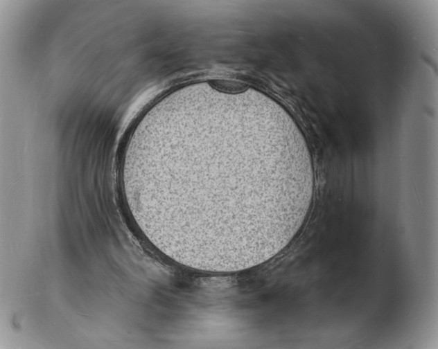 X0000102230102200808221317