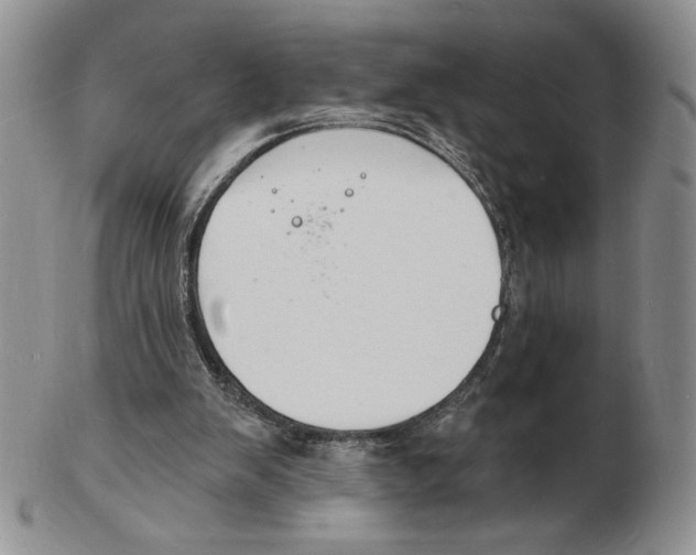 X0000102230103200808221317