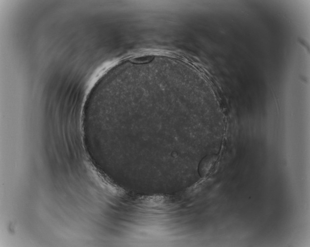 X0000102230104200808221317
