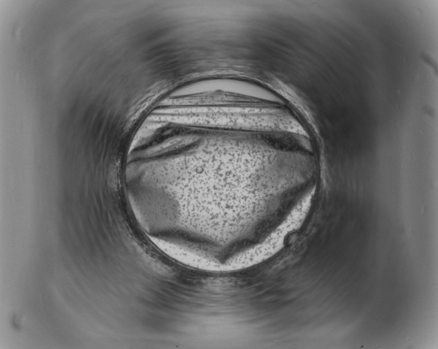 X0000102230105200808221317