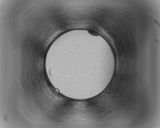 X0000102230107200808221317