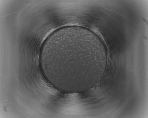 X0000102230108200808221317