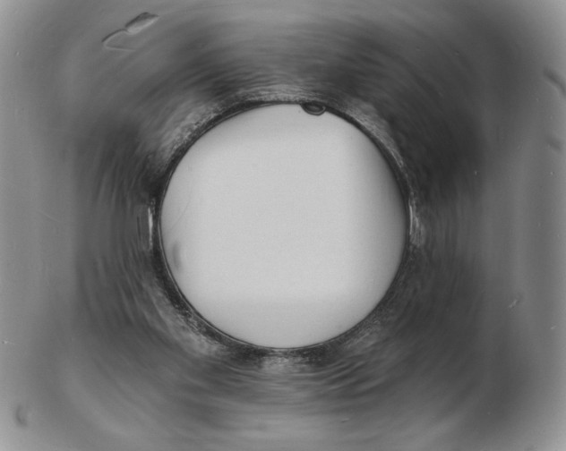 X0000102230109200808221317