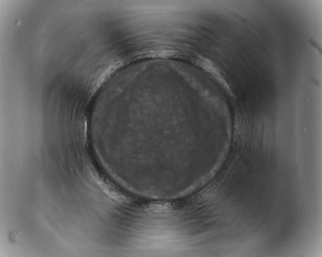 X0000102230110200808221317