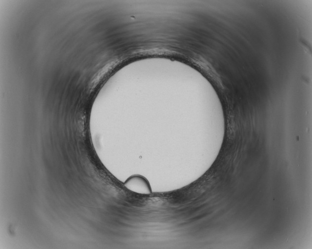 X0000102230111200808221317