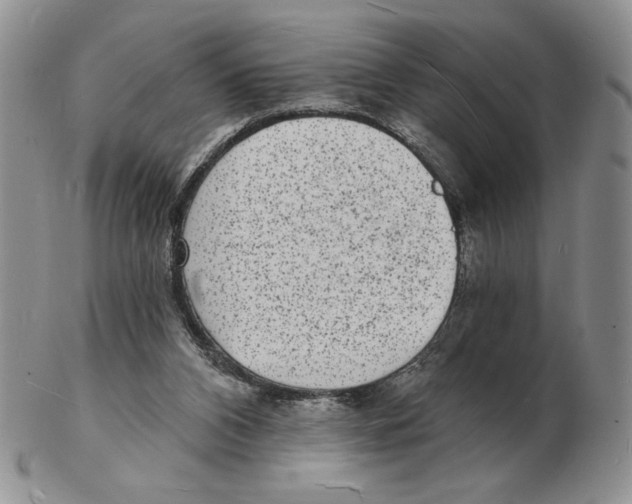 X0000102230112200808221317