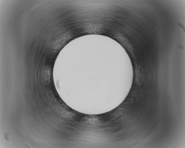 X0000102230113200808221317