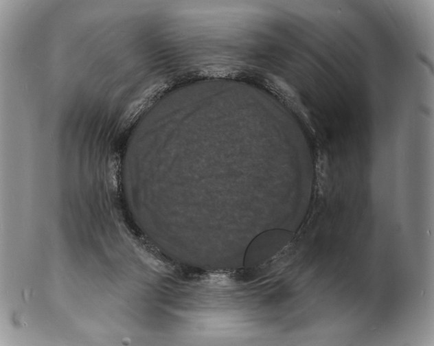 X0000102230114200808221317