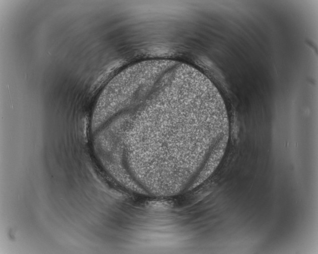 X0000102230115200808221317