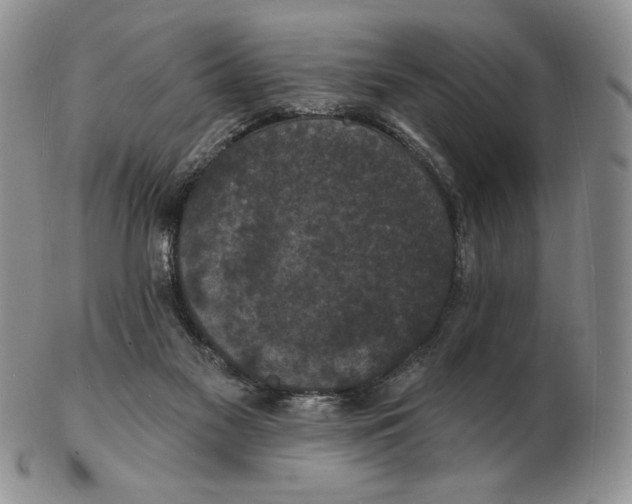 X0000102230117200808221317
