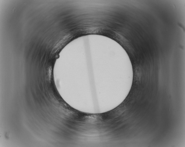 X0000102230118200808221317