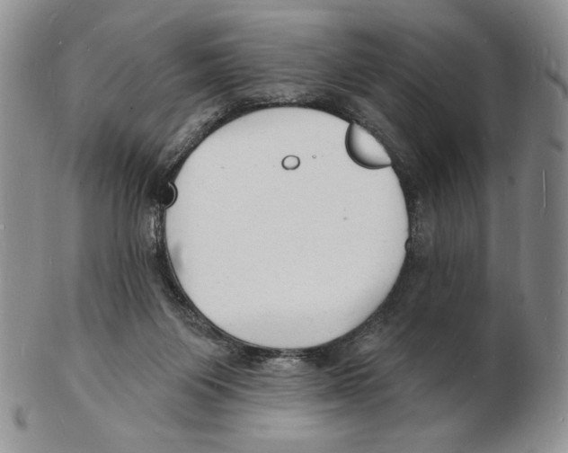 X0000102230119200808221317
