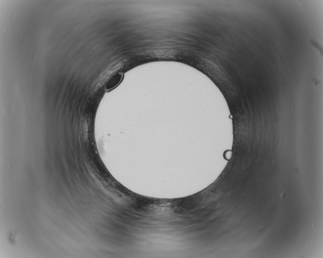 X0000102230120200808221316