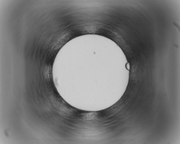 X0000102230122200808221316