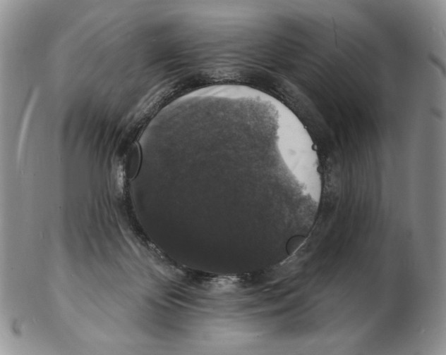 X0000102230124200808221316