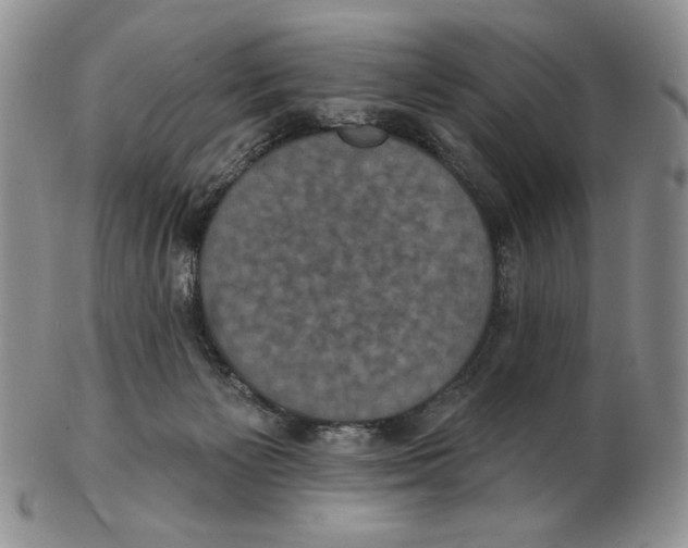 X0000102230125200808221316
