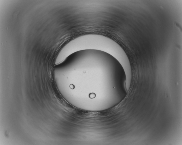 X0000102230128200808221316