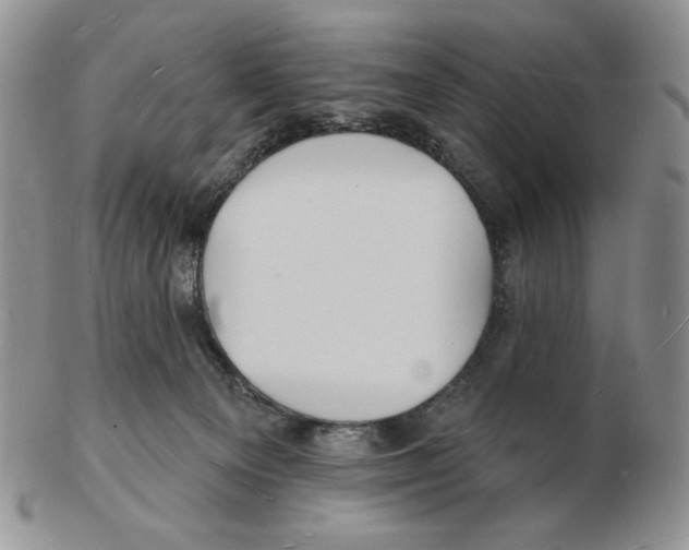 X0000102230129200808221316
