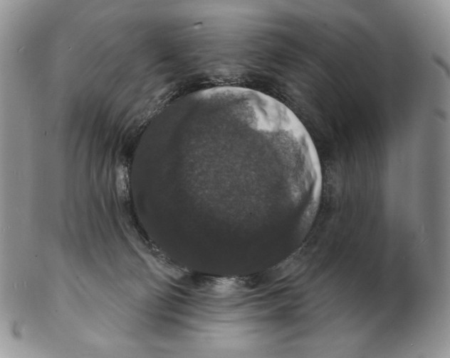 X0000102230130200808221316