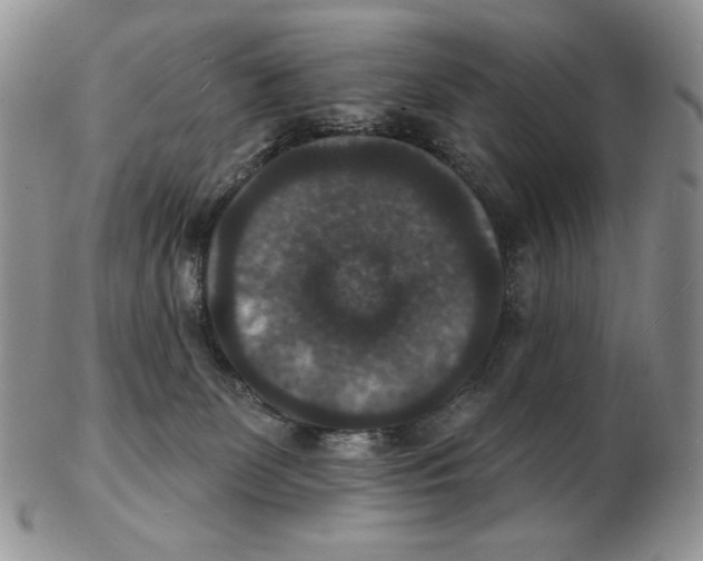 X0000102230131200808221316