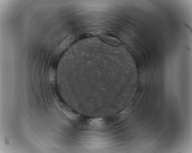 X0000102230132200808221316