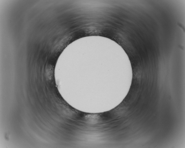 X0000102230133200808221316