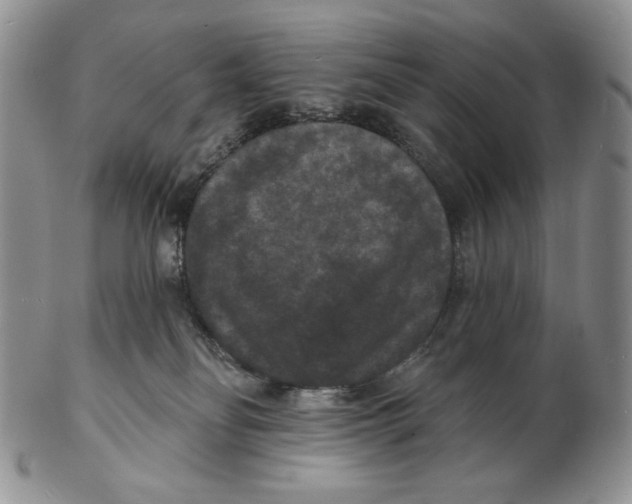 X0000102230134200808221316