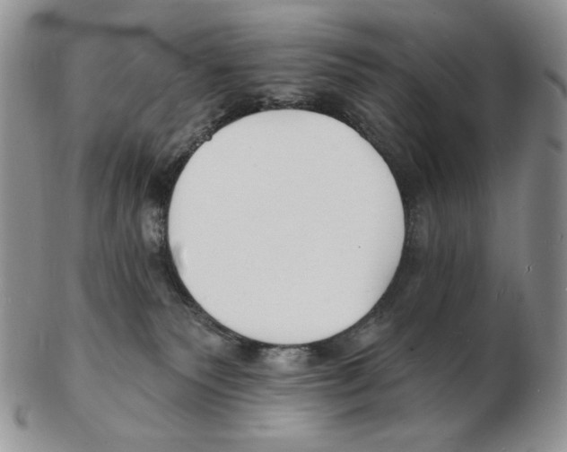 X0000102230135200808221316