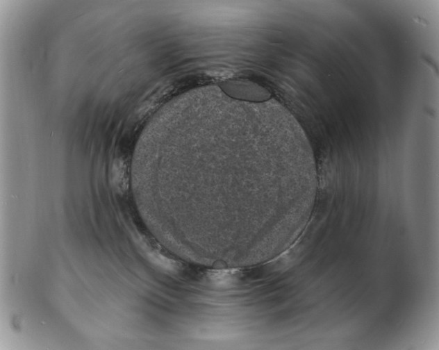 X0000102230136200808221316