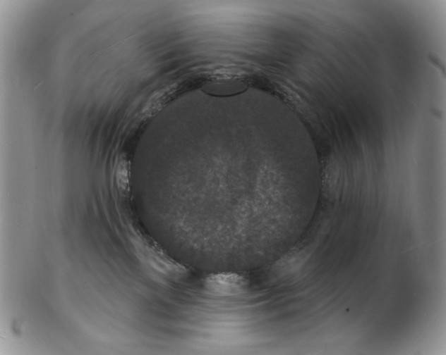X0000102230137200808221316