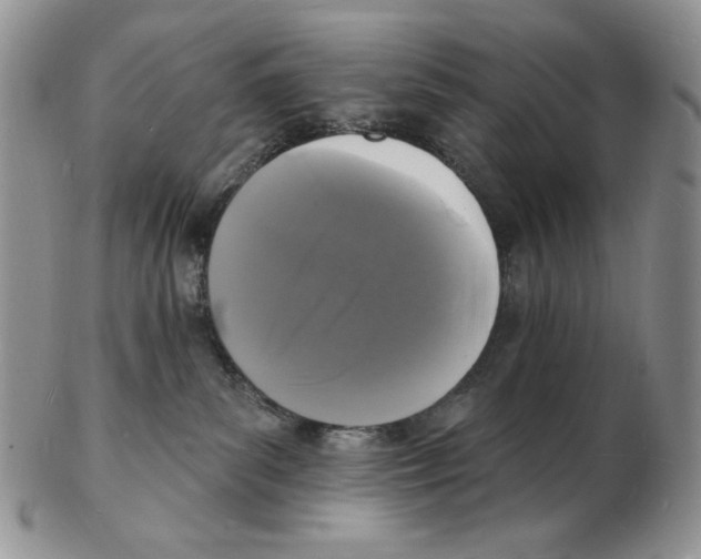 X0000102230139200808221316