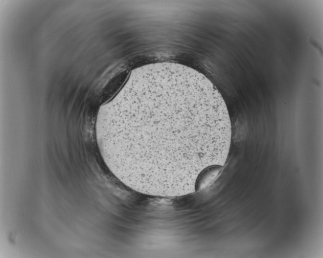 X0000102230140200808221316