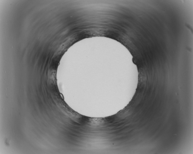 X0000102230141200808221316