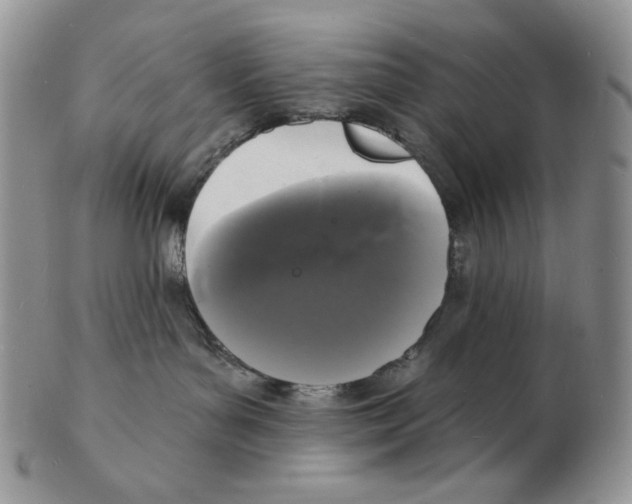 X0000102230143200808221316