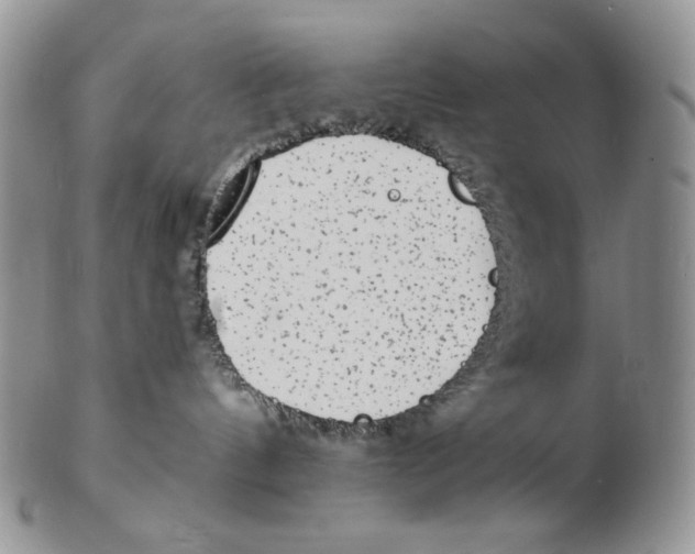 X0000102230144200808221316