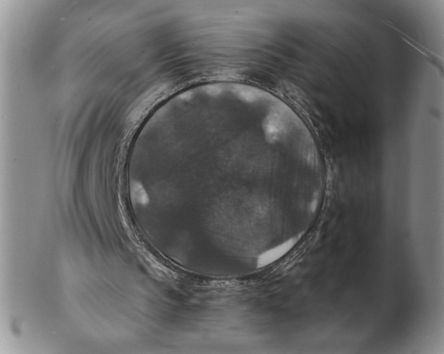 X0000102230145200808221315