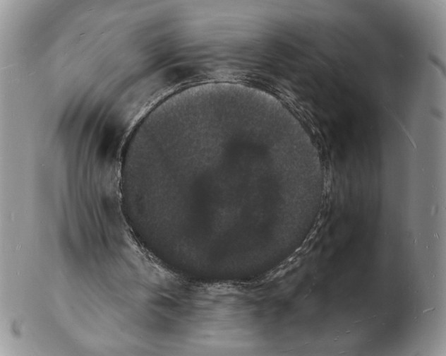 X0000102230146200808221315
