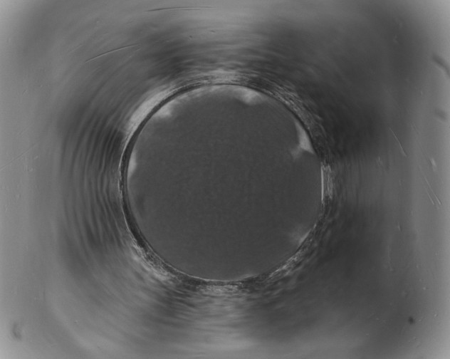 X0000102230147200808221315