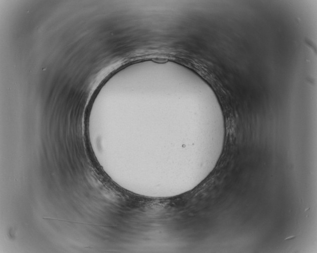 X0000102230148200808221315