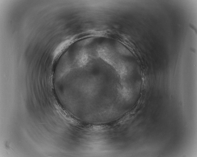X0000102230149200808221315
