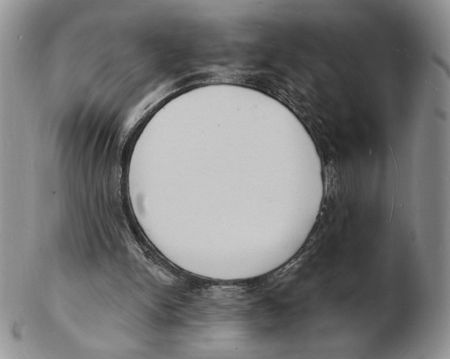 X0000102230150200808221315