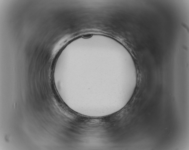 X0000102230151200808221316