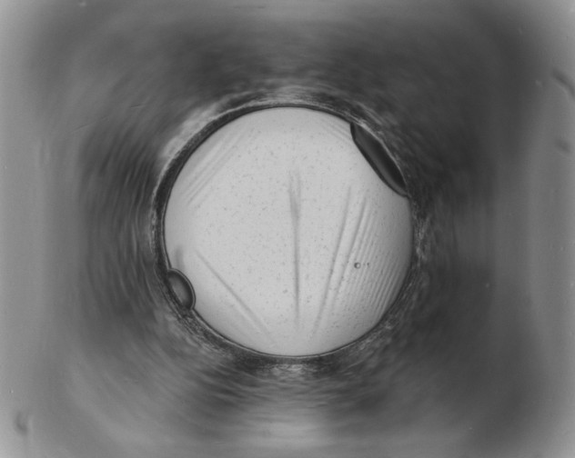 X0000102230152200808221316